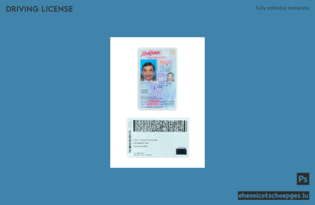 USA, South Dakota: Führerschein für Personen unter 21 Jahren (2023–heute) – Beispielvorschau
